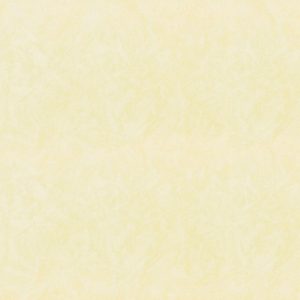 Papel Tapiz Disney 2032-5