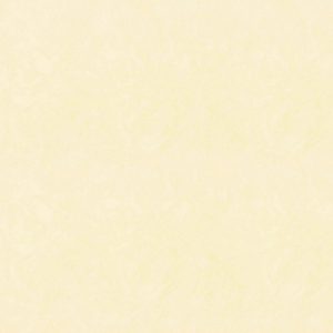 Papel Tapiz Disney 2033-2