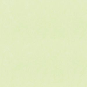 Papel Tapiz Disney 2033-3